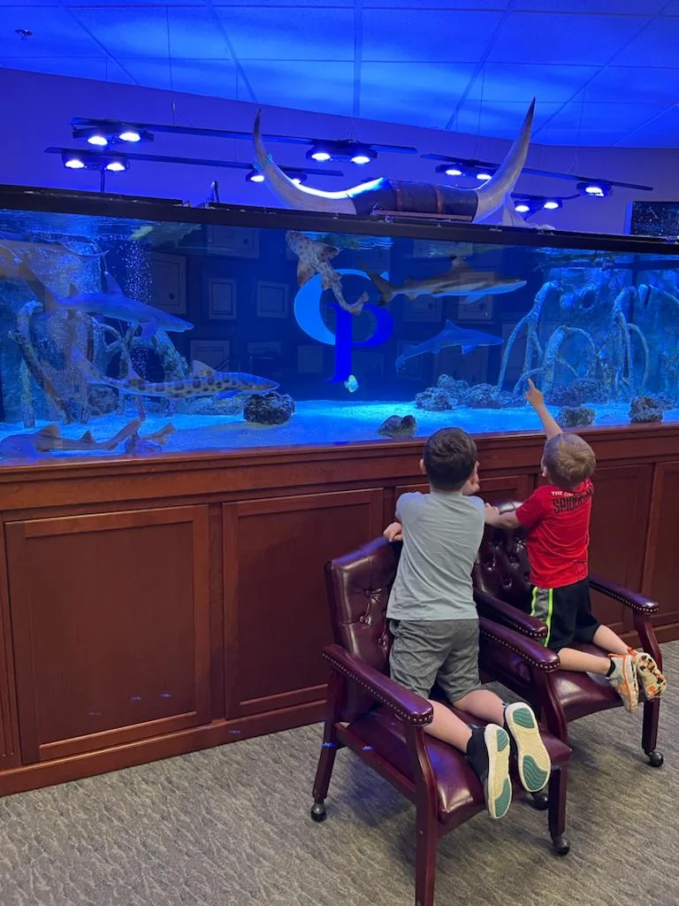 Saltwater Aquarium or Freshwater Aquarium?
