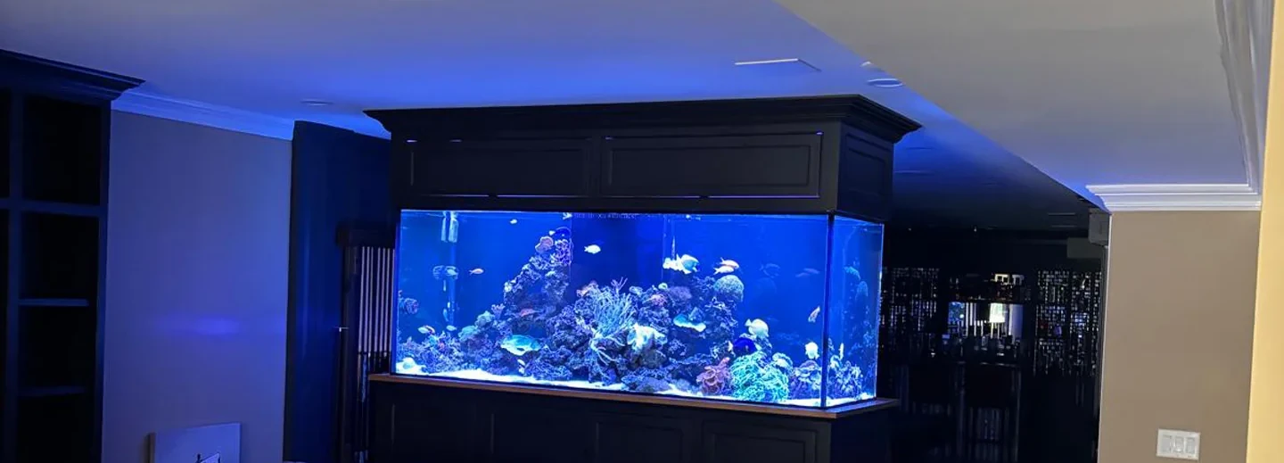 A Living Masterpiece for Your Home