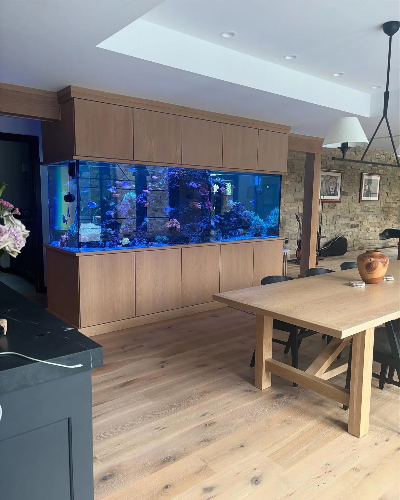 How Often Should You Clean Your Aquarium (and Why It Matters)
