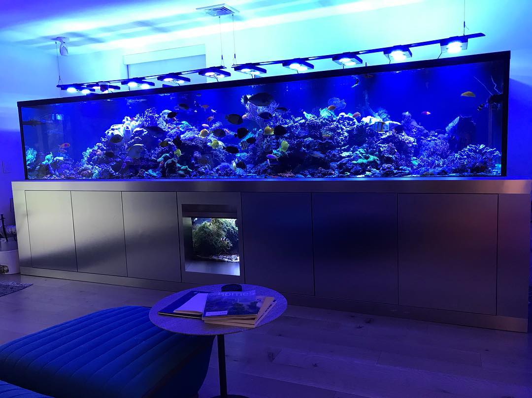 Service Design Innovation for Aquarium Customer Value