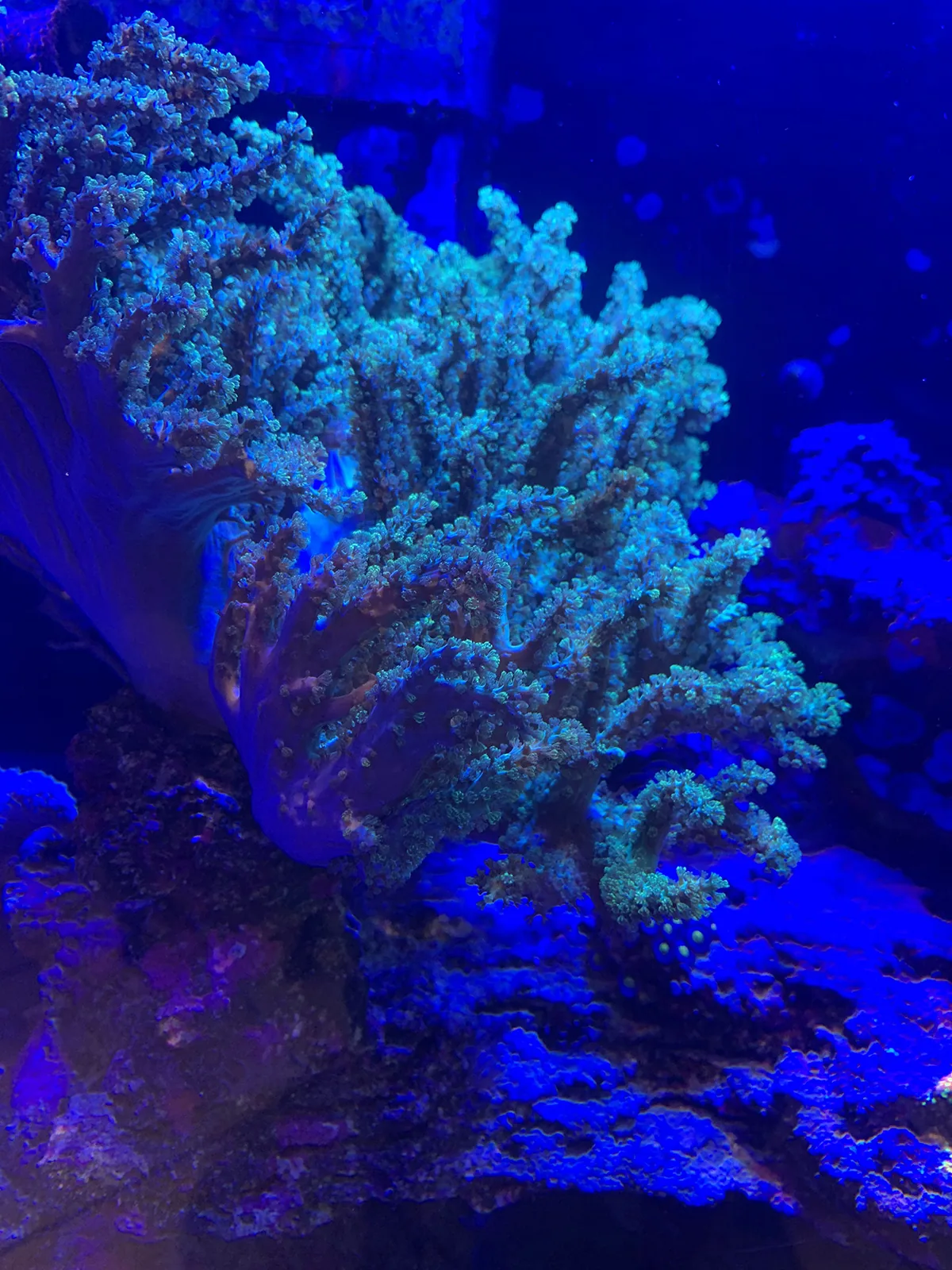 Contact JK-Fish